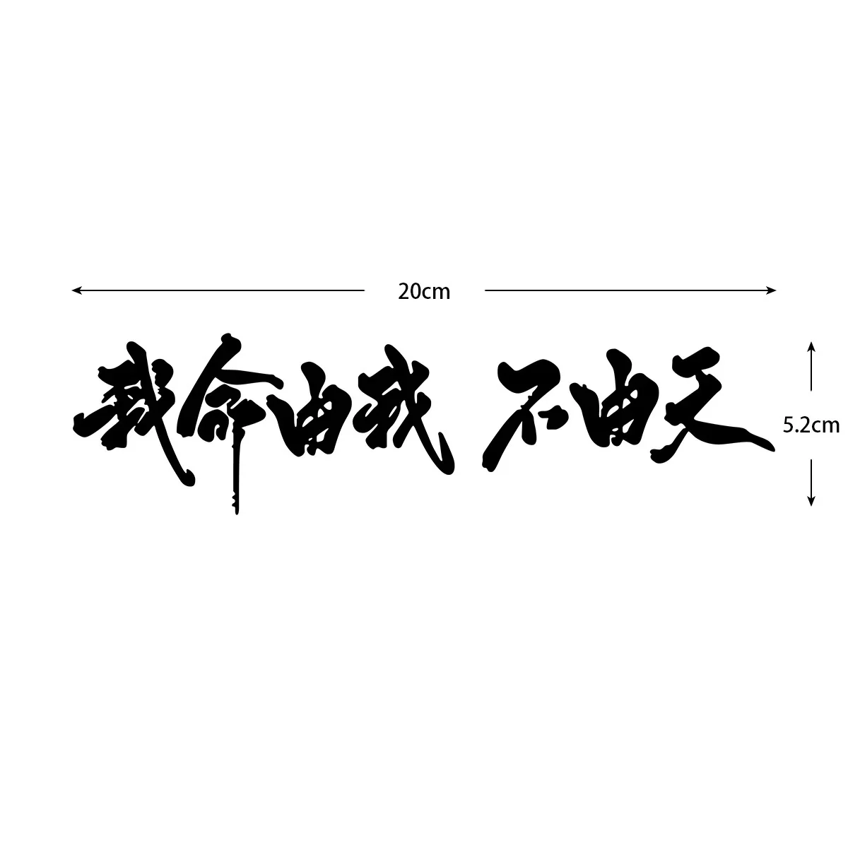 2枚入り、2Dフラットデザインの「私の運命は自分次第」の書道 - Mountain Biking Holidays のレビューと価格