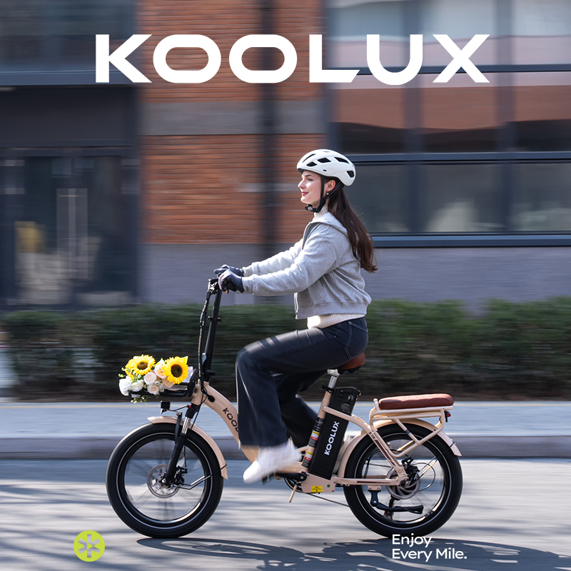 EU/UK迅速配送 X16 アルミ合金製電動マウンテンバイク - Mountain Biking Uk のレビューと価格